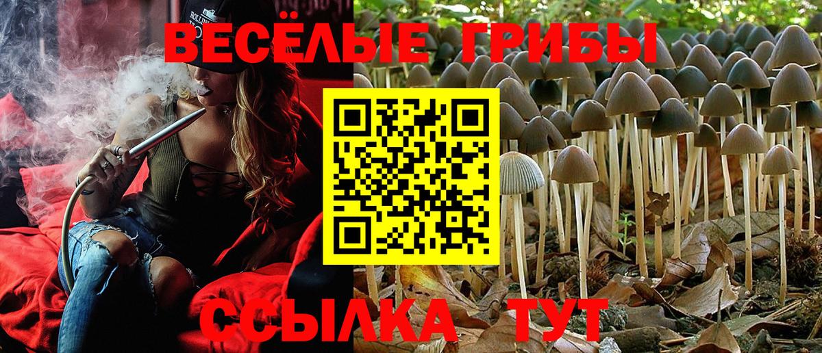 Псилоцибиновые грибы Psilocybine cubensis  Вход с VPN  Галлюциногенные грибы ЛСД  Учалы 